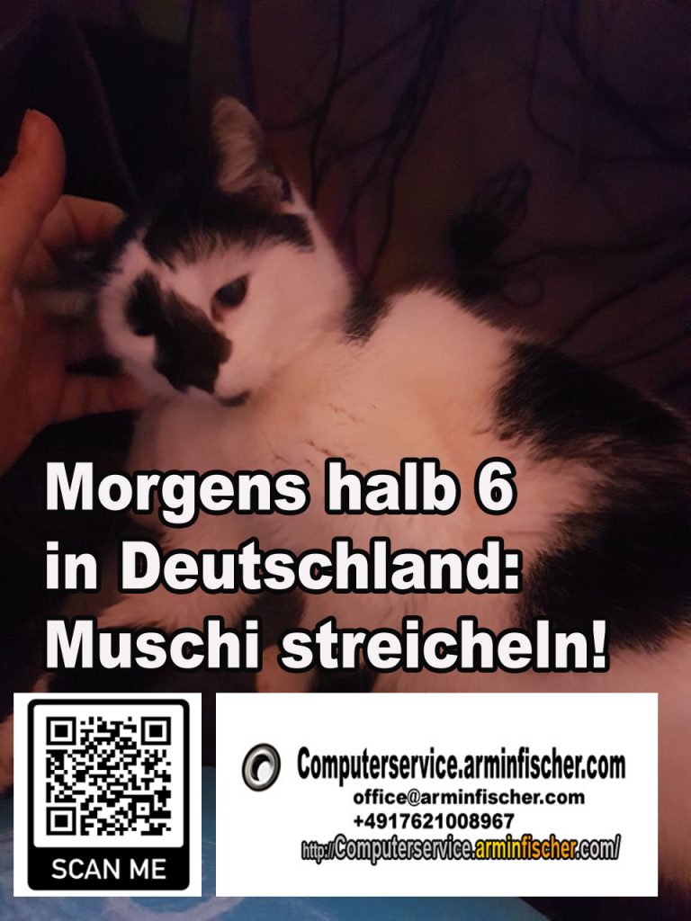 Morgens halb 6 in Deutschland: Muschi streicheln!