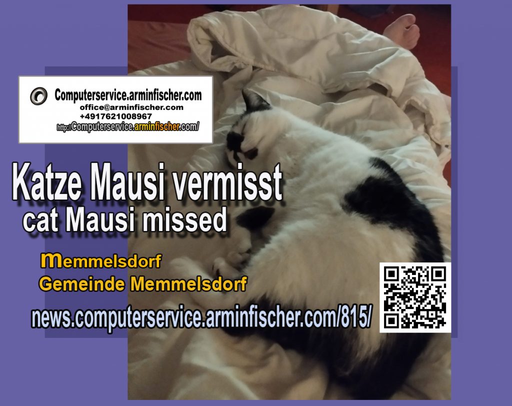 Katze Mausi vermisst. / Cat Mausi missed . Memmelsdorf .