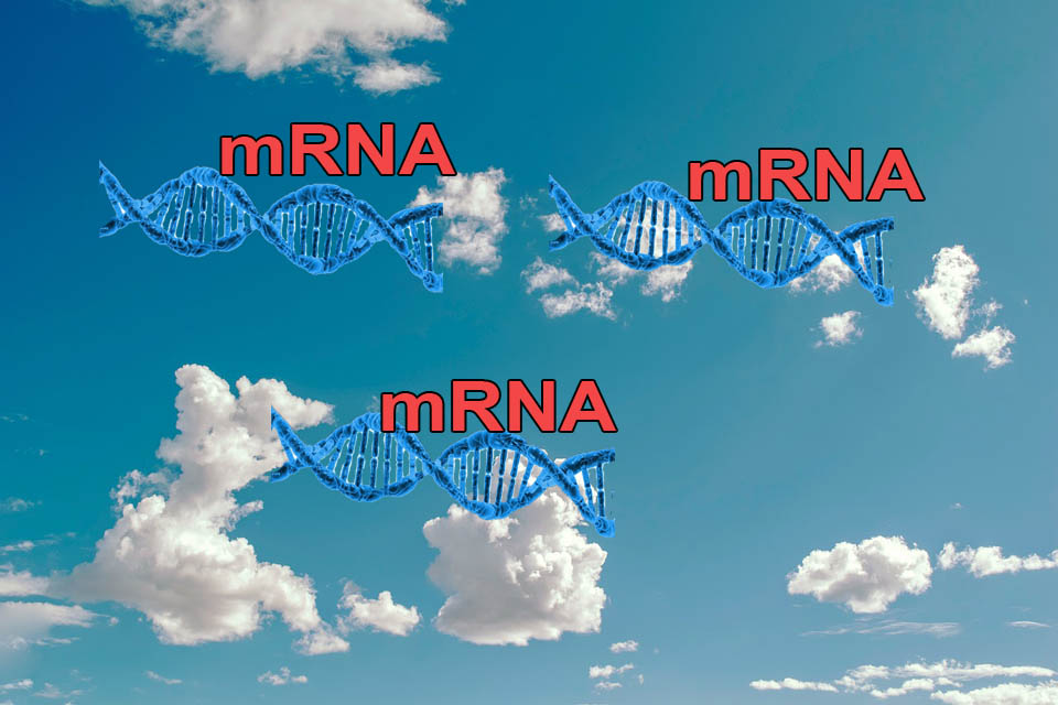 mRNA vaccination via air - mRNA Impfung über die Luft 